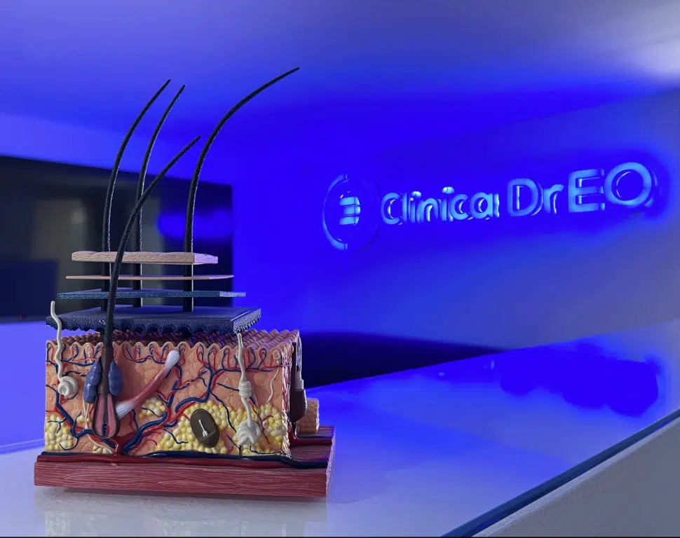 Captura de pantalla 2024 12 26 a las 5.16.37 p.m